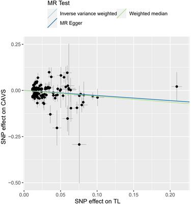 Causality of telomere length associated with calcific aortic valvular stenosis: A Mendelian randomization study